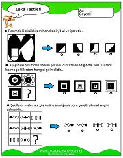 Zeka Gelişim Testleri